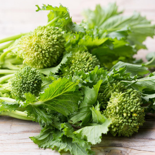 Semillas Hortaliza Nabo De Grelo / Cima Di Rapa Brocoli