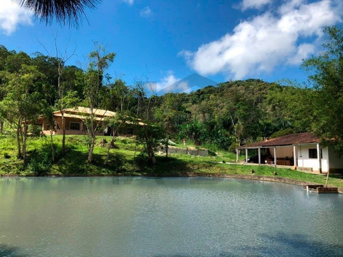 Imagem 13 de 30 de Lindo Sitio, Com 03 Nascentes! Ideal Para Lazer E Criação. - 118 - 69225614