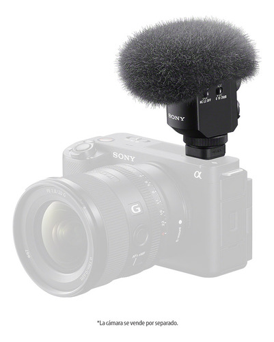 Micrófono Tipo Escopeta Direccional Ecm-m1 Negro