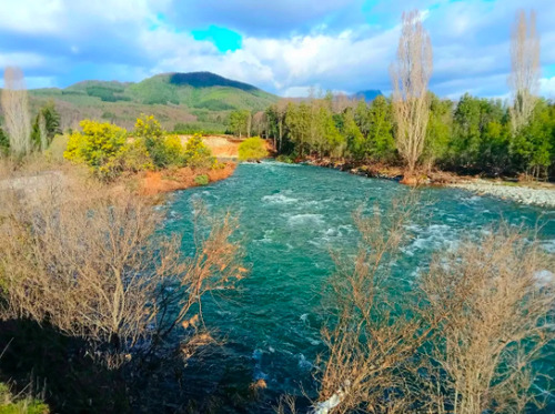 Parcela 8.000 M2, Dos Cabañas, Bosque Nativo, El Huachi