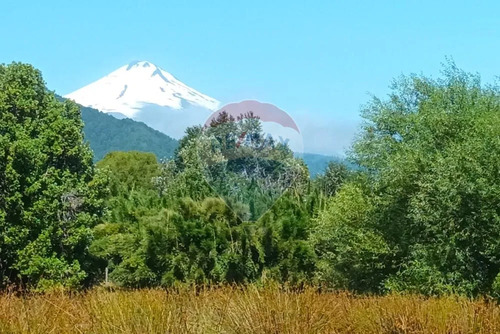 Venta Parcela De Campo Catripulli, Curarrehue
