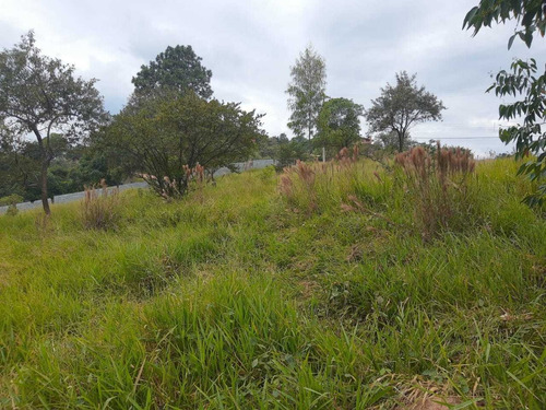 Imagem 5 de 14 de Atibaia Sp Terreno 502 M²