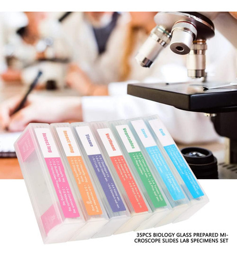 Goshyda Juego De Muestras De Laboratorio De Portaobjetos