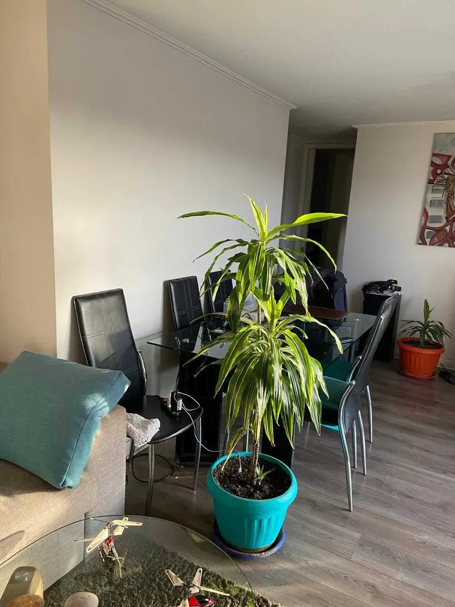 Imagen 3 de 23 de Venta Dpto La Florida (161105)