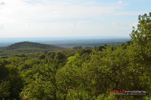 Imagen 7 de 14 de Lote De 5024m2 En Zona Alta De Carpintería
