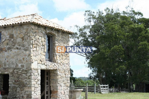 Imagen 12 de 30 de Campo Turistico Cerca De Punta Del Este