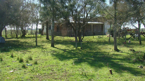 Imagen 13 de 14 de 195 Has Mixtas - R.payró, Magdalena, Buenos Aires