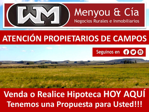 Venta Compra De Campo De 200has A 2500has Forestal Ganadero