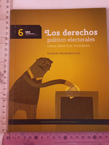 Los Derechos Político Electorales Armando Hernández Cruz (Usado)