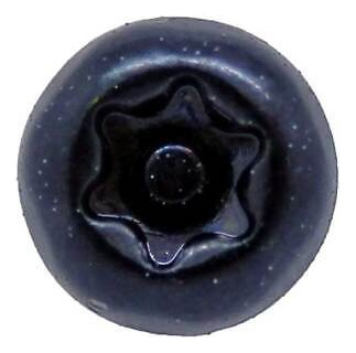 Hp #10 Torx Security Screw Driver 697803-001 Zzf