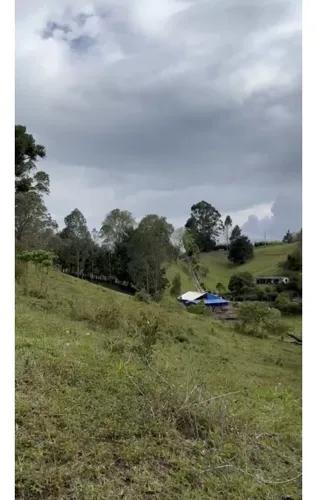 Lote Independiente Rionegro Vereda Ojo De Agua