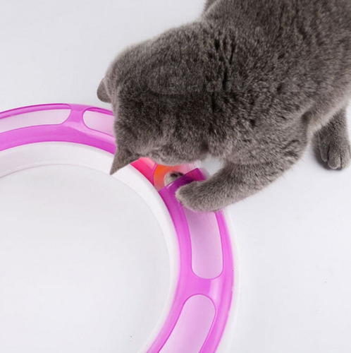 Juguete Para Gatos Circuito Armable, Incluye