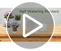 Macetas Transparentes Con Autorriego, Pack De 3 Unidades De