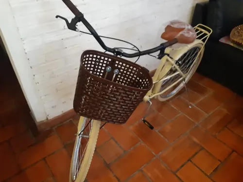 Bicicleta Vintage Con Canasto Paseo Rodado 26 Mujer Retro