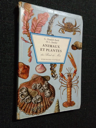 Animaux Et Plantes Du Bord De Mer Mandahl Barth 