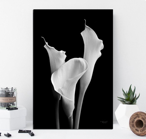 Cuadro 50x75cm Flor Blanco Y Negro Cala Life Flores