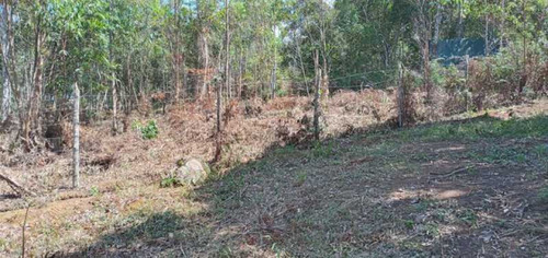 Imagem 12 de 15 de Lindo Lote - Bilt00168