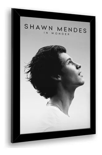 Moletom shawn mendes in my blood cheap