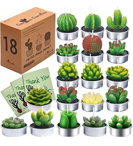 comprar Velas Suculentas Velas De Cactus Velas De Candelita De Cactu