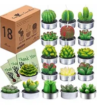 Comprar Velas Suculentas Velas De Cactus Velas De Candelita De Cactu
