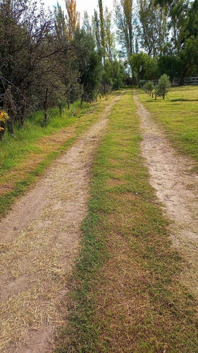 Imagen 11 de 18 de Venta - Finca - Las Paredes, San Rafael