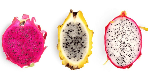 Combo 150 Semillas De Dragon Fruit O Pitahaya!!!!!!!