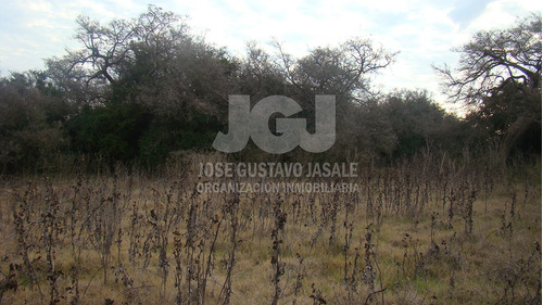 Imagen 4 de 10 de 93 Has Punta Indio - Buenos Aires