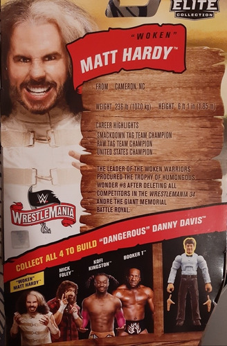 Imagen 2 de 4 de Figura Matt Hardy Woken Wwe Mattel Elite Lucha Libre Wrestle