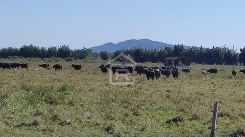 Imagem 6 de 30 de Fazenda Localizada Em Iguape- Sp Com 280 Alqueires - 262 - 71153412