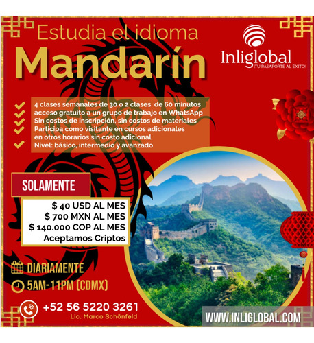 Curso De Inglés/alemán/francés Online En Tiempo Real