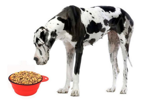 Imagen 4 de 6 de Plato Goma P/paseo, Mascotas Perro, Gato 18cm, Cap. 1 Litro.