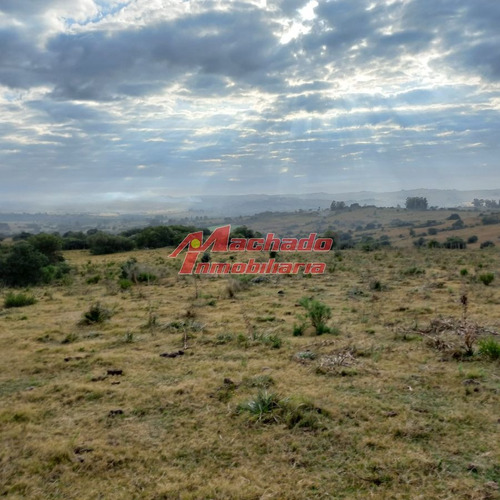 Imagen 11 de 14 de Chacraq En Venta En Puebloe Eden