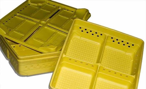 Caja Plástica Para Pollitos Bb