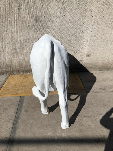 Animales Disecados 100% Artificiales Vaca Fibra De Vidrio Blanco
