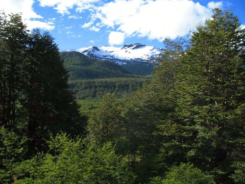 Sitio En Venta En Palena