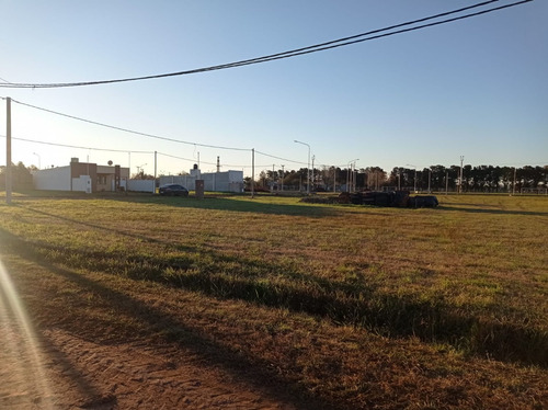 Imagen 4 de 5 de Lotes En Humboldt