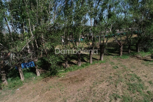 Imagen 6 de 8 de Terreno Campo En Venta O Permuta Ubicado En General Rodríguez, G.b.a. Zona Oeste