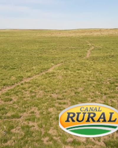 Campo Mixto, 300 Ha, A 7 Km De La Localidad De Parera En La Pampa. U$s 2.500/ha