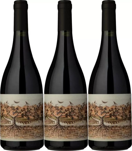 Vino Almacen De La Quebrada Pucara Malbec X3 Armanat