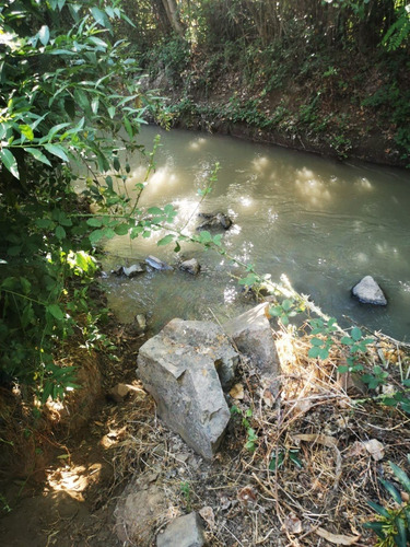 Quinta La Fe Doñihue