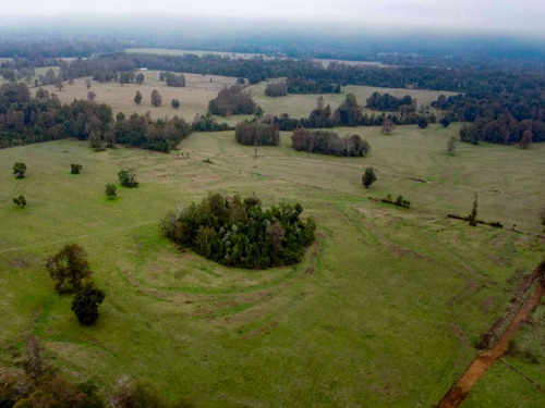 Imagen 12 de 13 de Campo Subdividido De 49,2ha - Villarrica