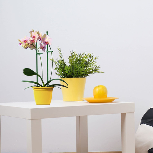Soporte Para Plantas, Soporte Para Flores, Orquídeas, 10 Uni