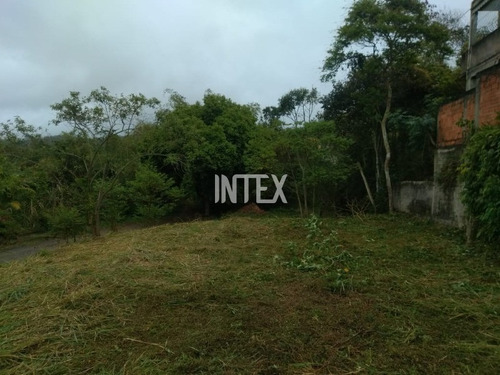 Imagem 4 de 13 de Excelente Terreno Na Estância De Pendotiba Plano Para Venda. - Te00057 - 69034123