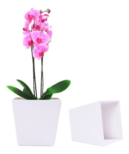 Vaso Para Plantas Suculentas, Orquídeas, Bonsai 12,5x12cm