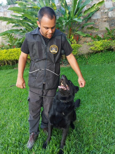 Imagen 3 de 3 de Adiestramiento Y Hospedaje Canino