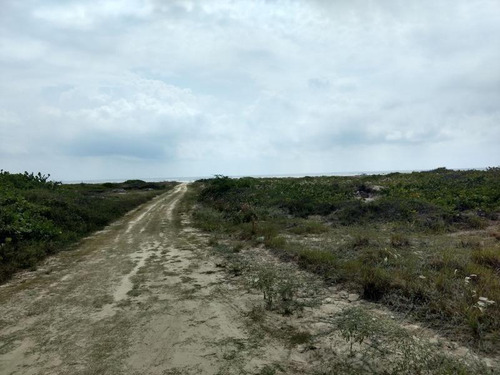 Venta Rancho 150 Hectareas Frente Laguna Tamiahua Veracruz