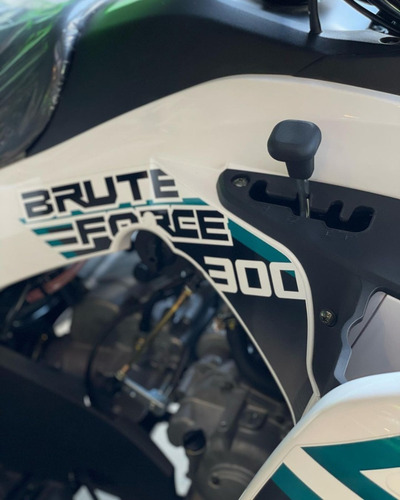 Imagen 14 de 25 de Kawasaki Brute Force 300 | Mall Don Bosco Motors