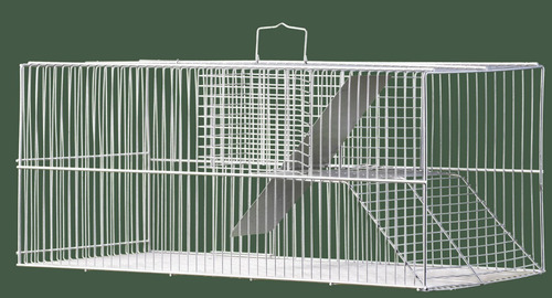 Ratoeira Para Ratos E Camundongos Fundo-falso Grande