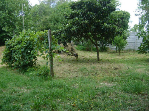 Imagen 6 de 9 de Terreno Venta 20x30 Mts - 600 Mts 2 Totales - Barrio Gambier