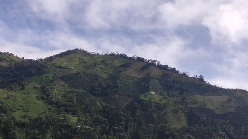 Se Vende Finca Ibagué Tolima 